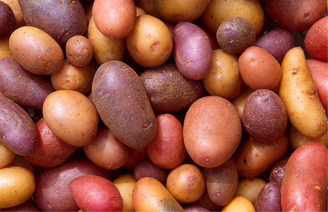 A photo of different types of potatoes.